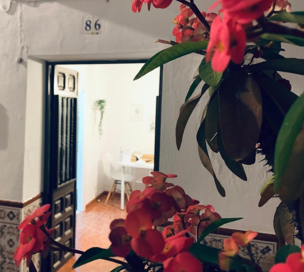 Casa Rural Dian - Centro Torrox Торокс Екстериор снимка